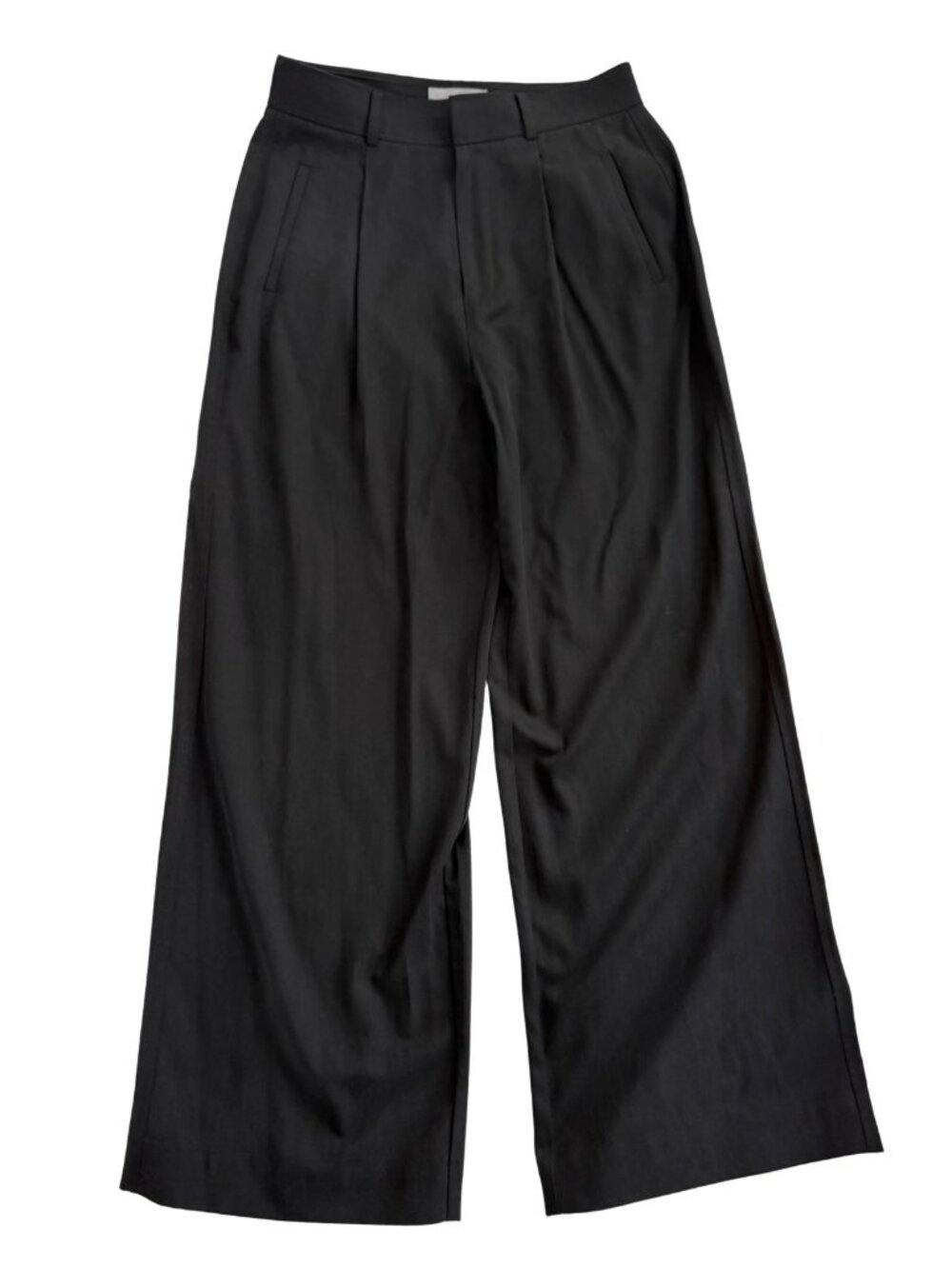 Everlane Way-High Wide-Leg Pleated Drape Trousers Pants Black